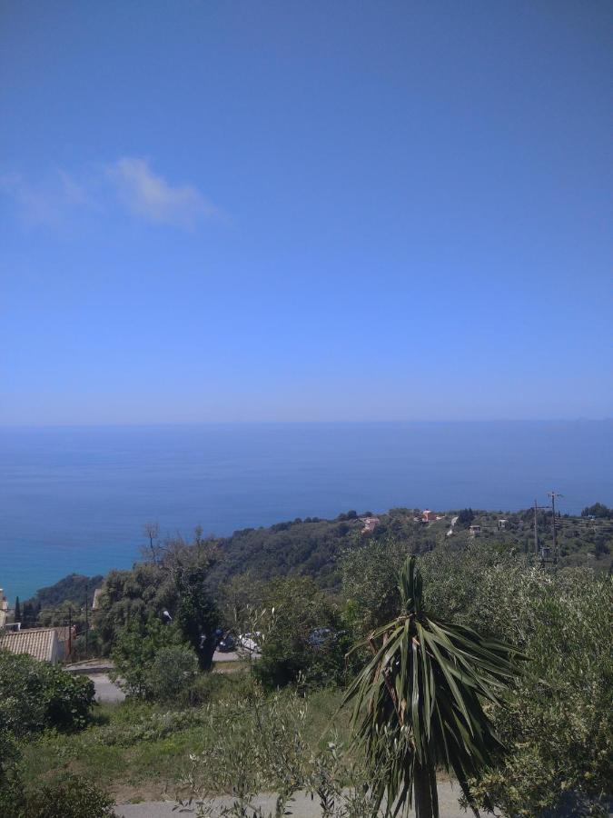 Artemis Corfu Apartment Pelekas